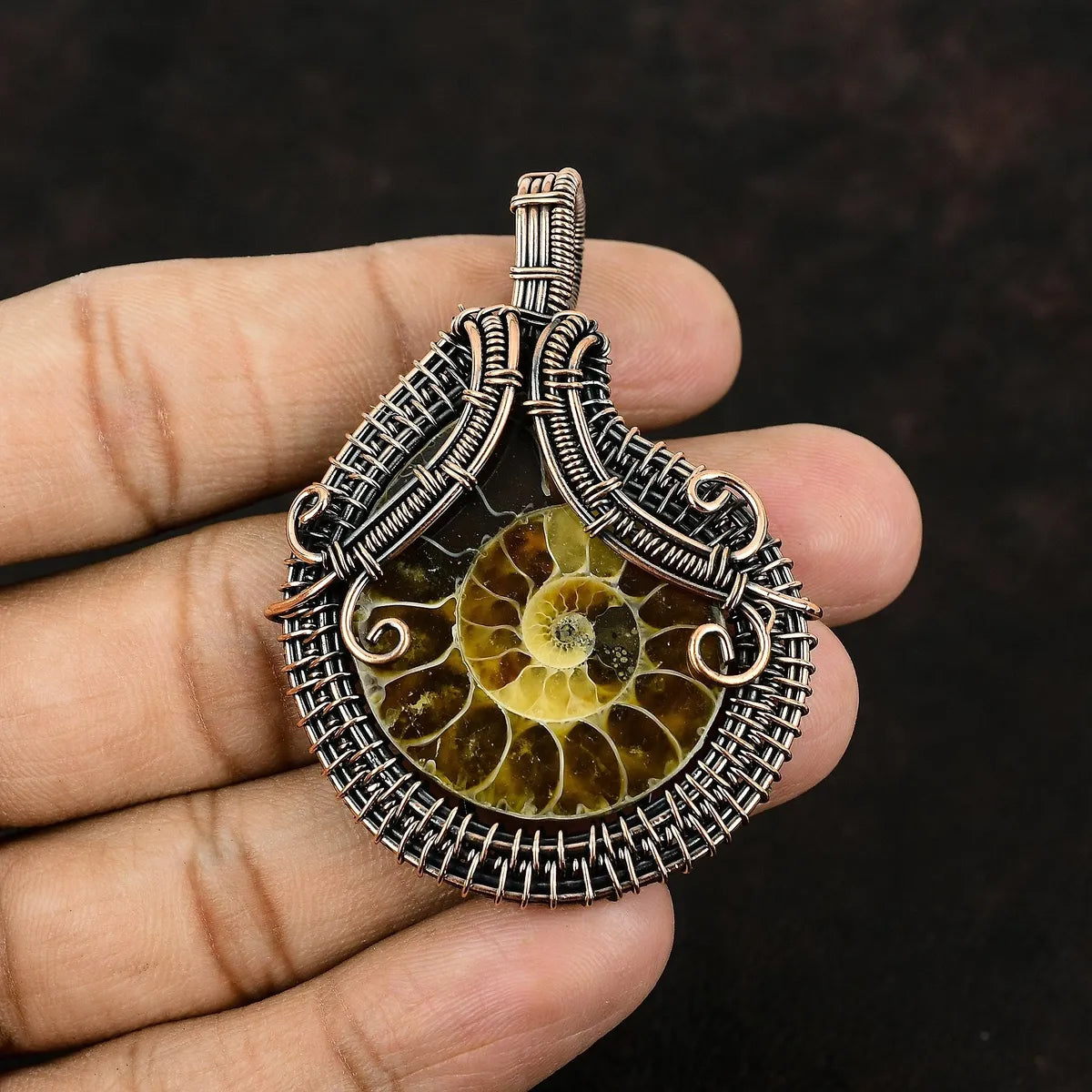 Ammonite Fossil Handmade Copper Wire Wrapped Pendent